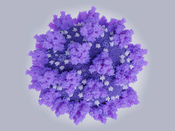 the-coronavirus-sarscov2-accurate-depiction-with-xray-diffraction-of-picture-id1211813034?k=6&m=1211813034&s=612x612&w=0&h=FD2ZQUxFNC7mBUvKl-cVydVYXIElgL8l0aLTATbtL0w=