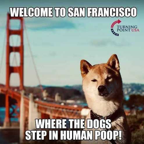 welcome-to-san-francisco-where-dogs-step