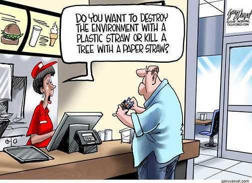 do-you-want-straw-kill-environment-paper