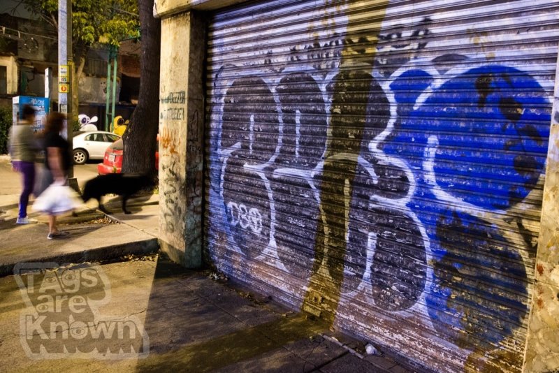 Mexico City Graffiti Pear.jpg